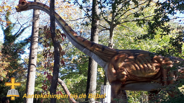 Brachiosaurus (replica)