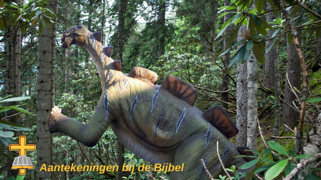 Wuerhosaurus (replica)