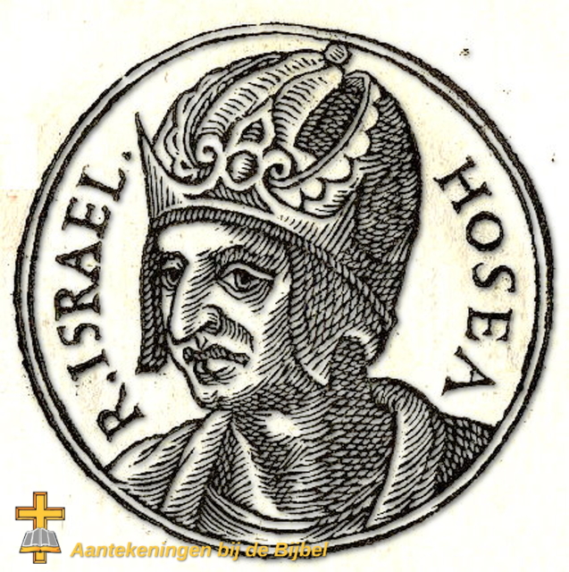 Hosea (koning)