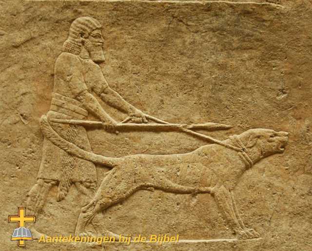 Nineve Assurbanipal Leeuwenjacht