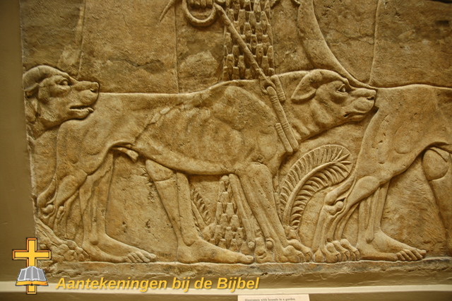 Nineve Assurbanipal Leeuwenjacht