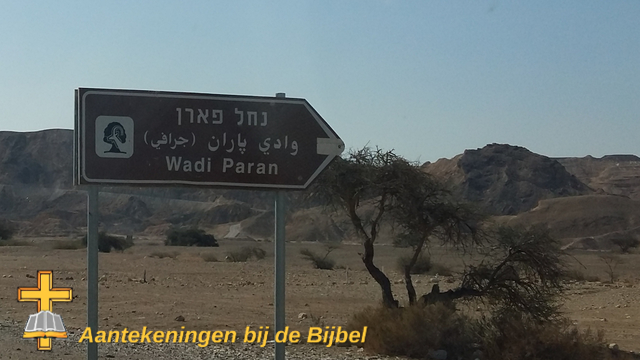 Wadi Paran